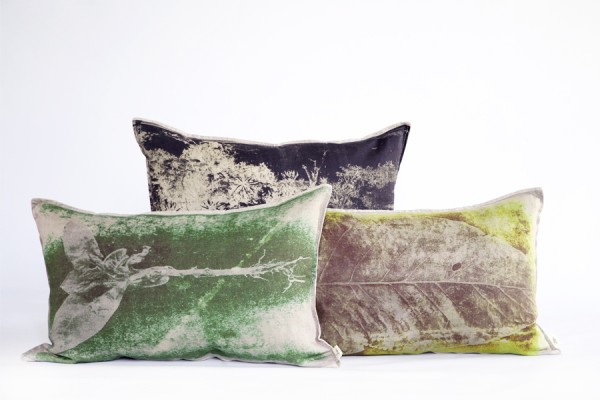 Lithograph inspired prints