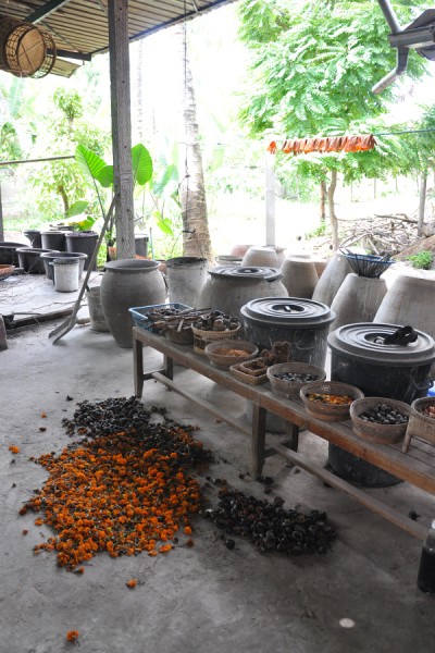 Dye workshop near Vientiane
