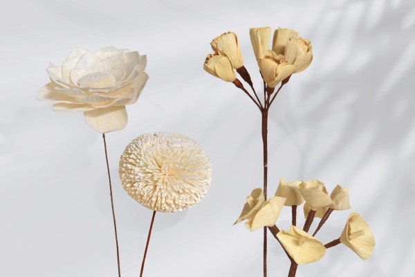 Decorative flowers for the Home